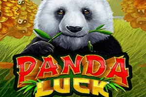 Panda Luck - SUMMER138
