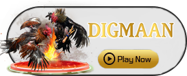 Digman - SUMMER138